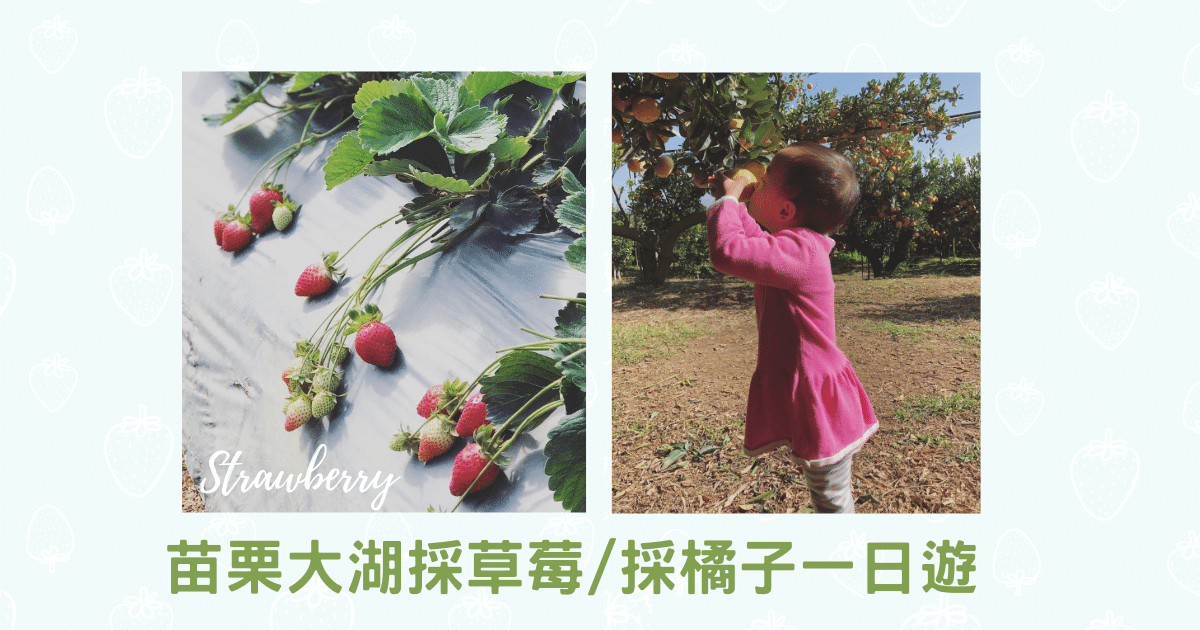 Read more about the article 苗栗大湖採草莓一日遊 ｜採橘子 ｜沐莯小館義式餐館 ｜中部親子景點