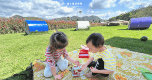 Read more about the article 2y8m | 育兒日記 野餐好好玩 親子活動 迪卡儂野餐墊 LeapFrog 野餐籃