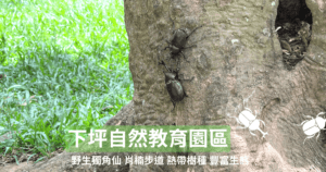 Read more about the article 南投親子景點｜野生獨角仙出沒，注意！下坪自然教育園區