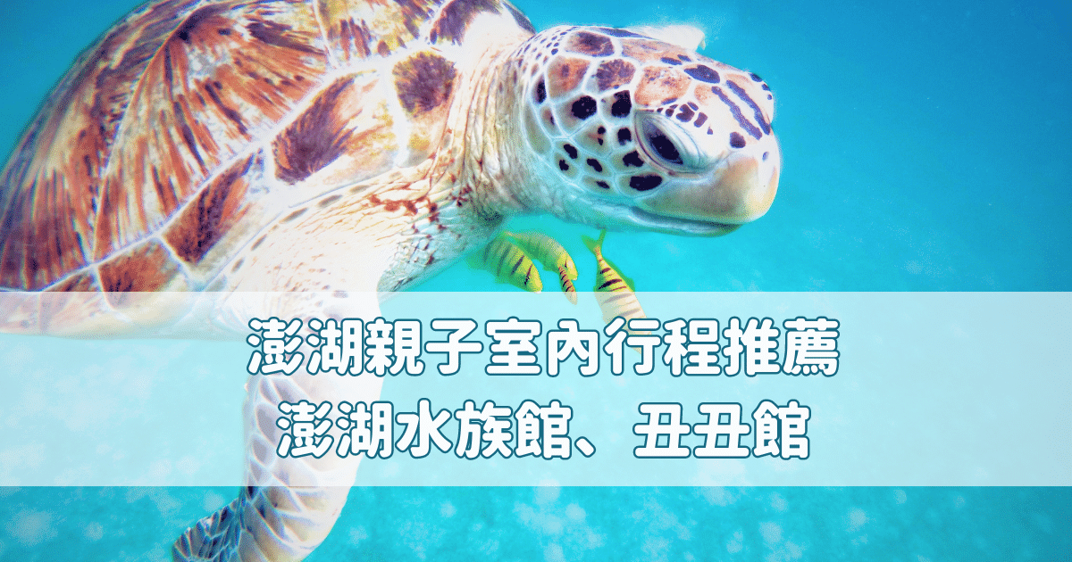 Read more about the article 澎湖親子旅遊室內行程推薦：澎湖水族館、丑丑館完整介紹交通、門票、餵食秀時間與營業時間一次說明！