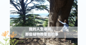 Read more about the article 我的人生導師，那些植物教會我的事