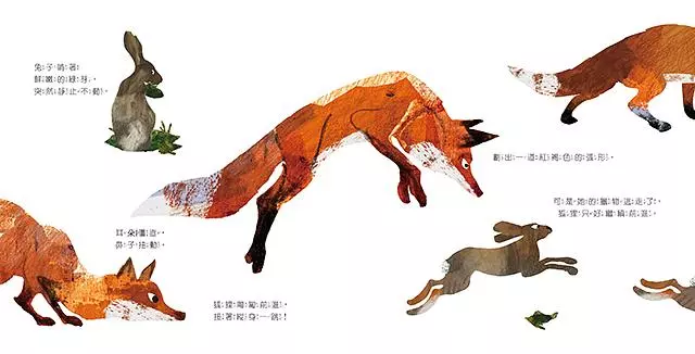 Fox A Story of Life and Death