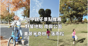 Read more about the article 台中親子景點推薦，可以待一整天的公園：南興公園必玩共融遊戲場＆戶外野餐、慶生好選擇 Ⅰ 米奇樹、落雨松打卡景點