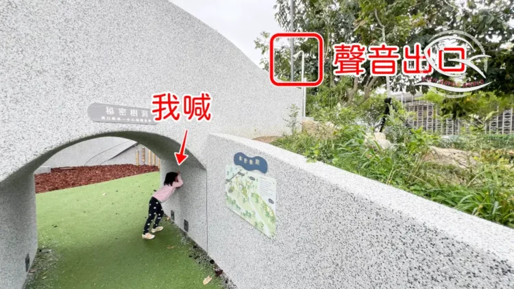 台中親子景點推薦，可以待一整天的公園：南興公園必玩共融遊戲場＆戶外野餐、慶生好選擇 Ⅰ 米奇樹、落雨松打卡景點IMG  x