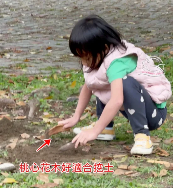 台中親子景點推薦，可以待一整天的公園：南興公園必玩共融遊戲場＆戶外野餐、慶生好選擇 Ⅰ 米奇樹、落雨松打卡景點IMG  x