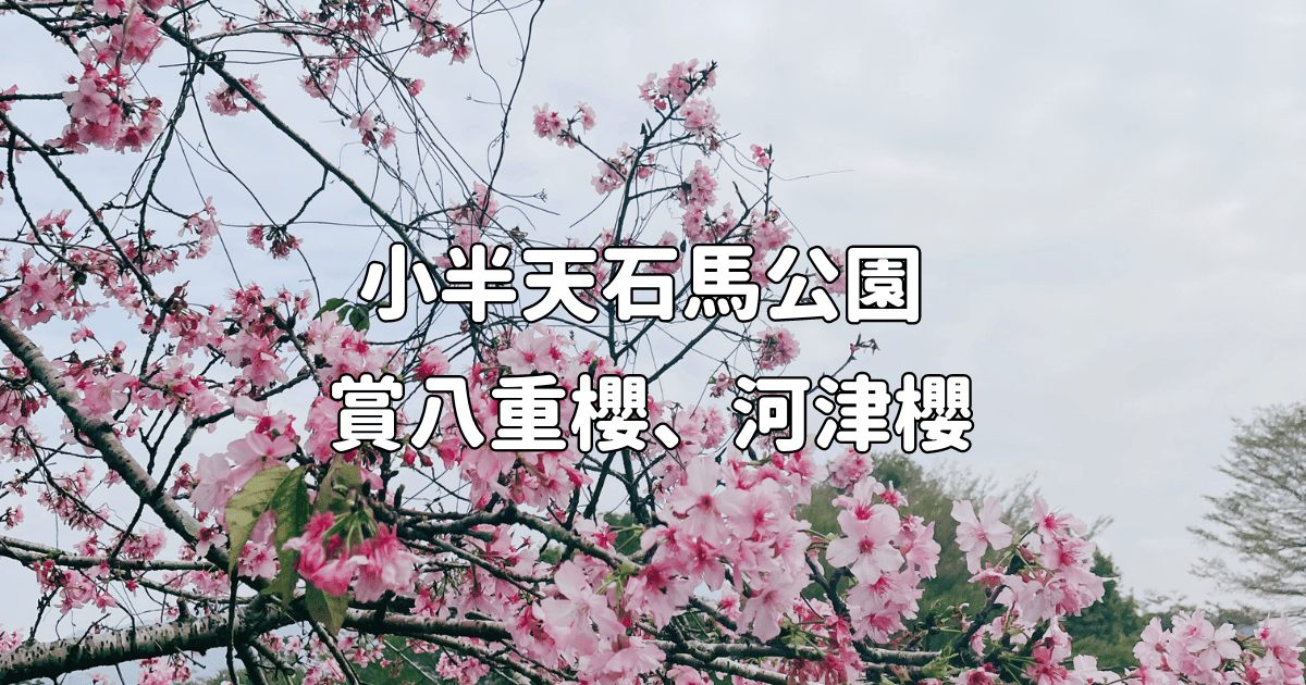 Read more about the article 南投親子旅遊 鹿谷 小半天石馬公園 賞八重櫻、河津櫻
