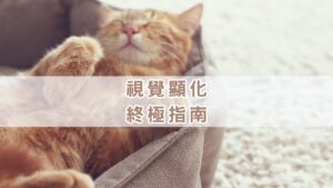 Read more about the article 最佳的顯化方法（終極指南）