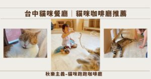 Read more about the article 已歇業！台中貓咪餐廳｜貓咪咖啡廳推薦！療癒的33隻貓咪陪著你 – Chill Life-Kitty Running 秋樂主義-貓咪跑跑咖啡廳  (Kitty Running) 近一中，親子友善