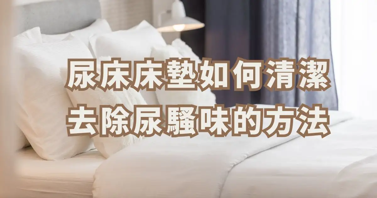 Read more about the article 怎麼清潔尿床床墊？自己處理小孩吐奶、沾到血、飲料打翻｜床墊尿騷味怎麼處理｜貓咪尿床怎麼處理