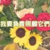 正念生活｜照顧，來自於純粹的愛