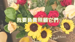 Read more about the article 正念生活｜照顧，來自於純粹的愛