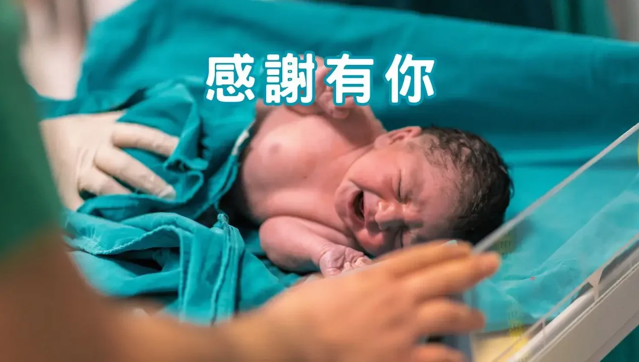 正念日記｜你的存在，就是一份恩典，謝謝你