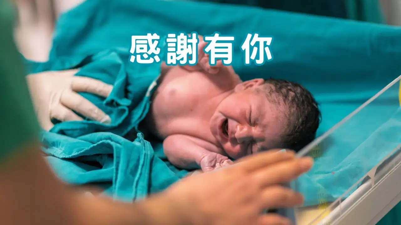 You are currently viewing 正念日記｜你的存在，就是一份恩典，謝謝你